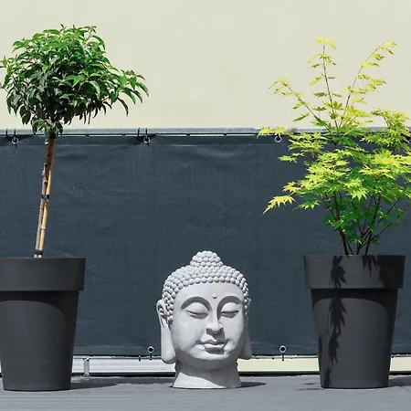 公寓 Design Mit Grosser Dachterrasse An Der Mosel - Netflix - Waschmaschine & Trockner