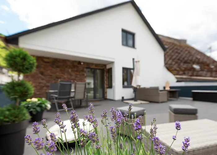 公寓 Design Mit Grosser Dachterrasse An Der Mosel - Netflix - Waschmaschine & Trockner 森海姆